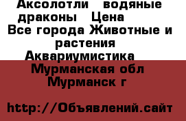 Аксолотли / водяные драконы › Цена ­ 500 - Все города Животные и растения » Аквариумистика   . Мурманская обл.,Мурманск г.